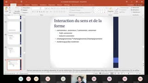 Séance 9b synchrone - Morphophonologie, Master 1 SDL