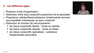 09- Les tissus conjonctifs - Les différents types