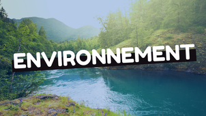 secteur environnement.mp4
