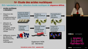 UE1 Auchet Nathalie 15/09/2026