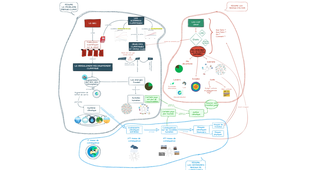 #4 - Carte Mentale Energie Climat - Globale