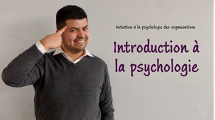 Initiation à la psychologie des organisations - 04 - Introduction à la psychologie
