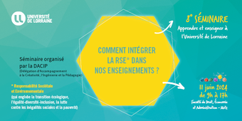 Comment intégrer la RSE dans nos enseignements ? - Retours d'expérience