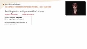 Composition chimique et propriétés du bois associés - Chapitre 6 - partie 2