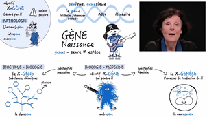 JOUR_3_Semaine_2_GEN