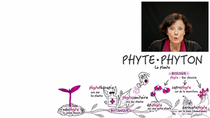 JOUR_2_Semaine_1_PHY