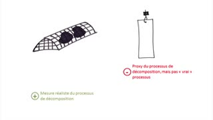 7. Les bandes de coton comme indicateur biologique du fonctionnement des sols - Calcul et interprétation des mesures
