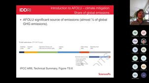 Conference J. Svensson, IDDRI - Negative carbon pathways