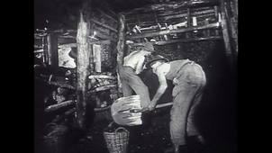 Les premières houillères de la Grande Région SaarLorLux