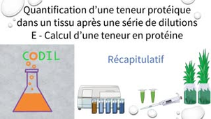 3_3_1Erecapitulatif