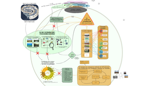 Carte Mentale Partie 4 : Les causes de la crise de la biodiversité