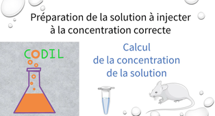 3_1_1Acalculs