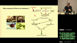 UE5 Bolmont Benoit (Pt1) 21/11/2025