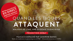 Quand les Tiques ATTAQUENT - Maladie de Lyme, une épidémie silencieuse
