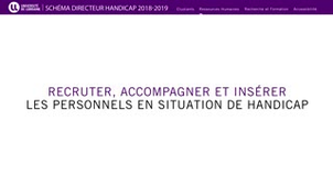 Schéma Directeur Handicap 2019