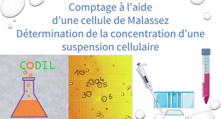 0_2_1_1ABoite_a_outil3_ST