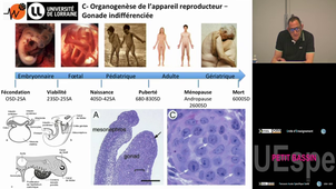 Spé_P-Bassin Nemos Christophe 27/3/25 (pt1) PASS
