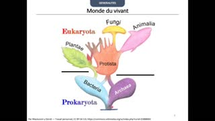 Replay DUPIAS 21-22 Parasitologie et mycologie - les bases