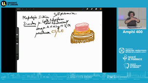 Mrta Pr Perez Manuela 15/01/2026 (Pt1)