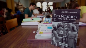 AVANT-SCENE RECHERCHE IRENEE / Féminisme(s) et droit public
