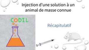 3_1_1Brecapitulatif_ST