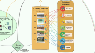 SENSE - Carte Mentale Biodiversité - Partie 4