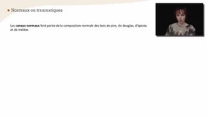 Les canaux résinifères - Chapitre 16