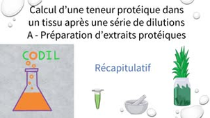 3_3_1Arecapitulatif_ST