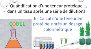 3_3_1Epartie_complete