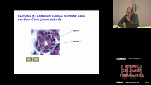 UE1 Christov Christo 17/11/2025