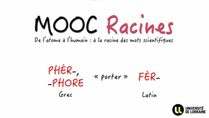 JOUR_5_Semaine_3_PHER PHORE FER