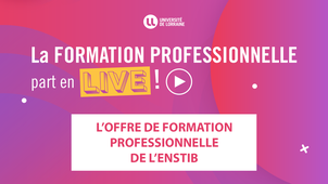 La Formation Professionnelle part en live !