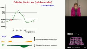UE4 Ioan Lulia 17/11/2025