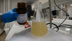 ENSAIA - Indice d'iode
