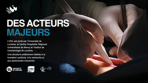 Présentation HVL