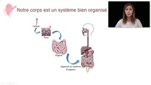 De la cellule au tissus : notion de matrice extracellulaire - Histologie - Chapitre 2 - partie 5