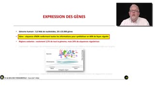 10_2.1-S1 Du gène à la protéine