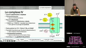 UE4 WIEDEMANN Arnaud 19/11/2025