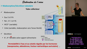 UE4 Gaucher Caroline 05/10/2026