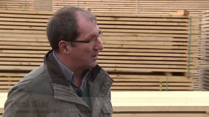 Le classement des bois dans la scierie Siat-Braun
