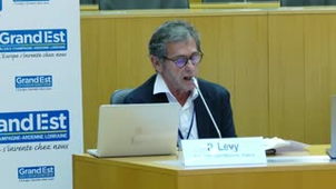 Europe in transition, afternoon session, English version