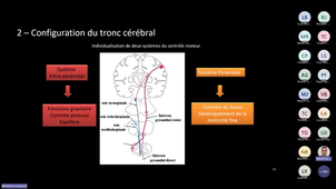 CM- 2_7 Neurophysiologie de la production du mouvement.mp4