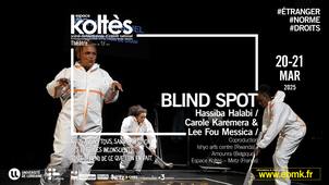Blind Spot