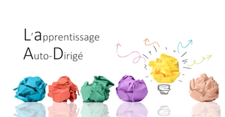 L'apprentissage autodirigé : l'enseignement des langues à l'ENSGSI et à l'ENSIC