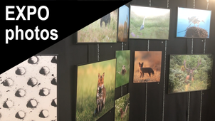 Expo photos 