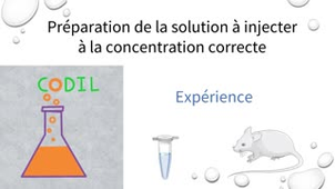3_1_1Aexperience1