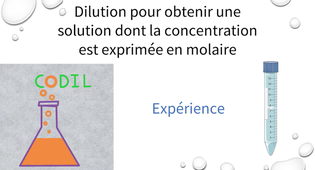 1_2_2Bexperience