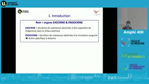 UE 3 - Physiologie Le rein Endocrine (SRAA- EPO- Vit D - Prostaglandines)