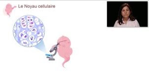 Le noyau - Chapitre 1 - partie 3