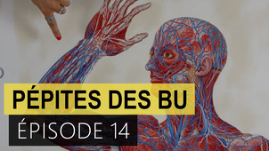 Pépites des BU - épisode 14